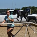 AKC GSP BREEDER