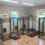 GERMAN SHORTHAIRED POINTER BREEDER NEAR ME