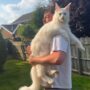 BUY MAINE COON KITTEN CANADA