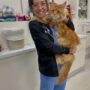 MAINE COON KITTEN BREEDERS ONTARIO
