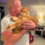 MAINE COON KITTENS FOR SALE CALGARY