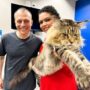 MAINE COON KITTENS FOR SALE BC