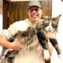 MAINE COON KITTENS FOR SALE ONTARIO