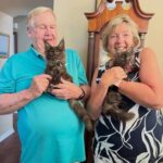 MAINE COON BREEDER NEAR ME