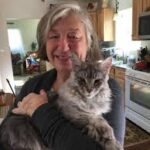 MAINE COON KITTENS FOR SALE CALGARY