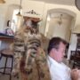 MAINE COON BREEDER NEAR ME