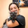 GIANT MAINE COON KITTENS FOR SALE