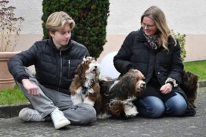 HAVANESE DOG FOR SALE