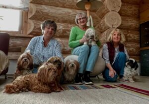 HAVANESE DOG BREEDER