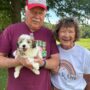 HAVANESE FOR SALE HOME DELIVERY