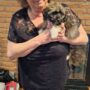 REPUTABLE HAVANESE BREEDER CANADA