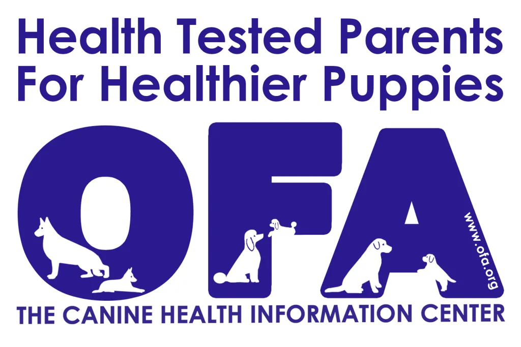 Parent Health Tested (OFA / Eye / Patella clearance).